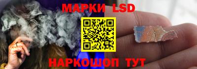 шишки Тара