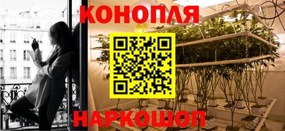 мдпв Ставрополь