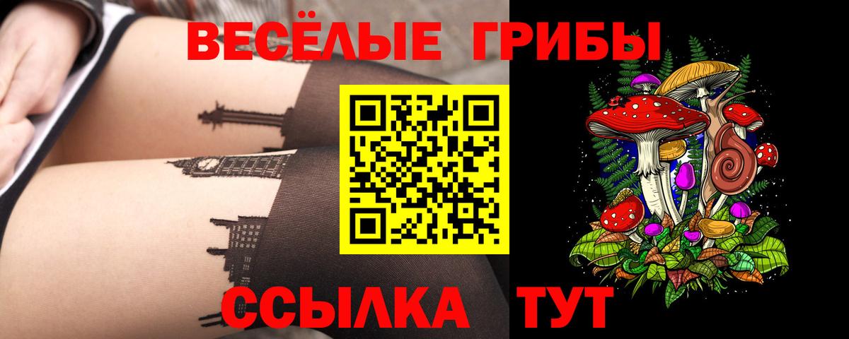 Галлюциногенные грибы GOLDEN TEACHER  Вход с VPN  Нальчик  Псилоцибиновые грибы Magic Shrooms 