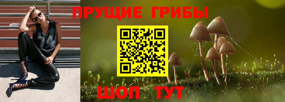 Конопля Нальчик
